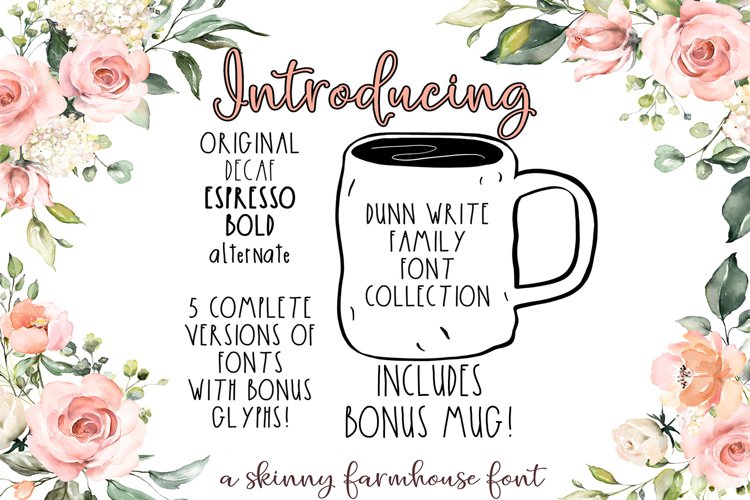 The Dunn Write Farmhouse Skinny Font Collection example image 1