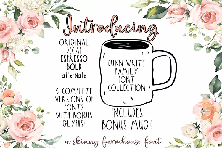 The Dunn Write Farmhouse Skinny Font Collection