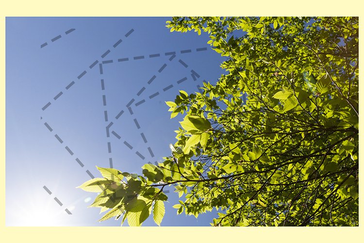 Sky Background Image 5