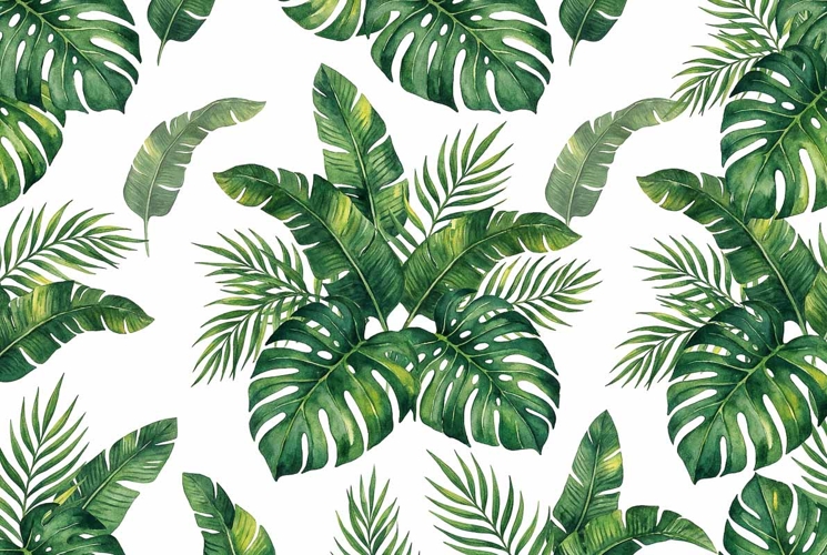 watercolor tropical leaf pattern Mothers Day