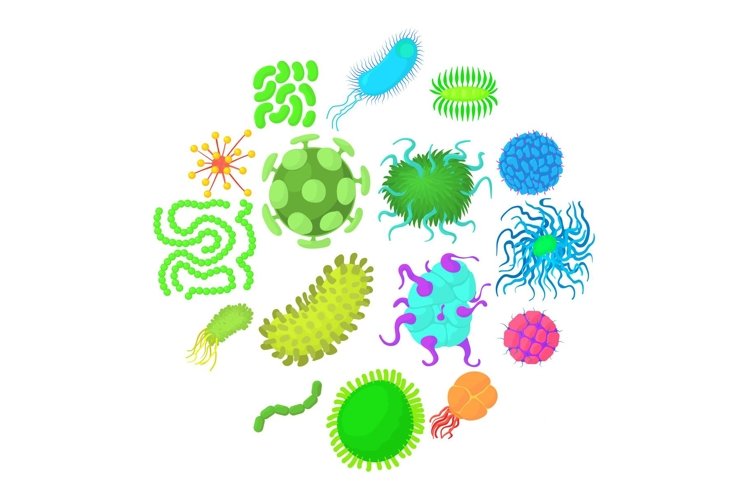 Bacteria Clipart Image 5