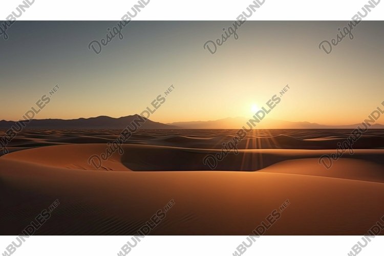 Desert Illustration Image 14