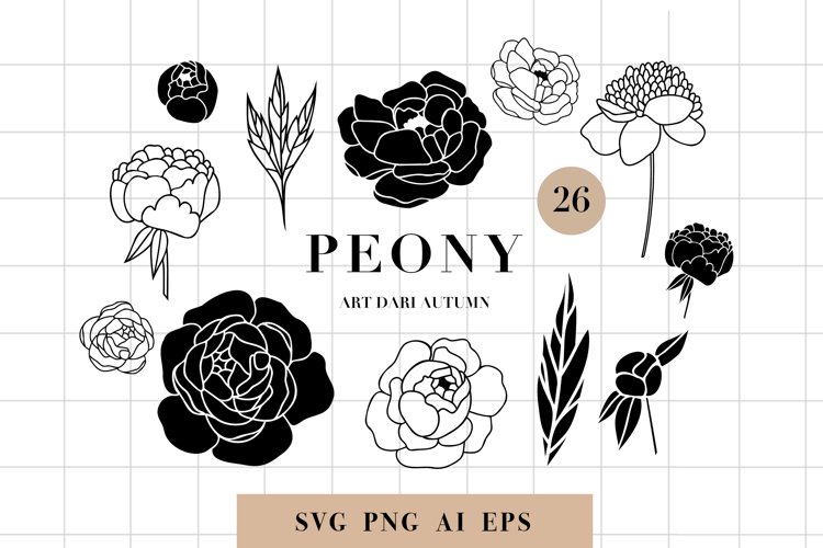 Peony Svg Image 22