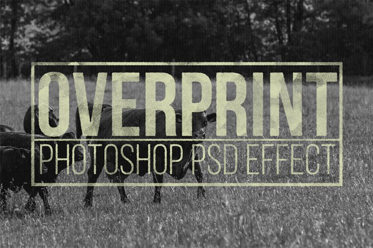 Overprint Template