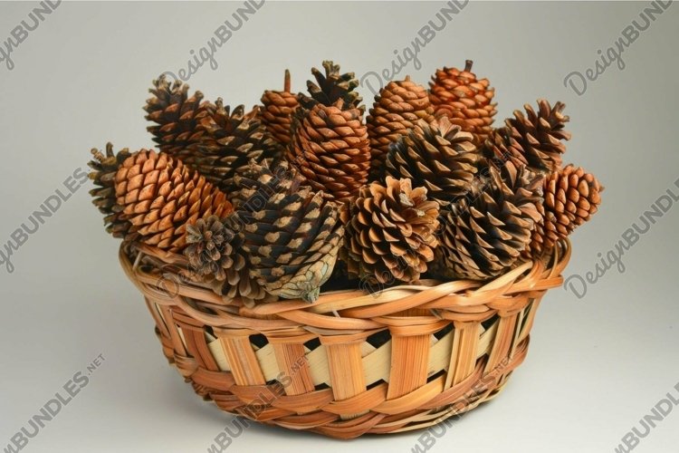 Brown Backgrounds Image 12