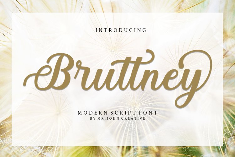Bruttney example image 1