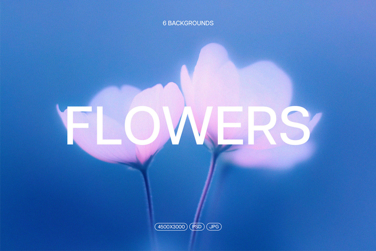 Abstact Blurred Flower Textures