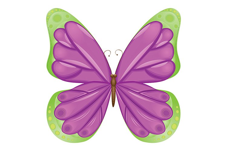 Butterfly Cartoon Image 15