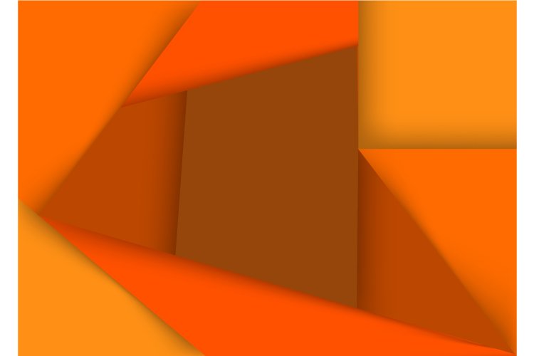 Ornament Vector Image 12