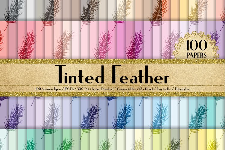 Feather Clipart Image 13