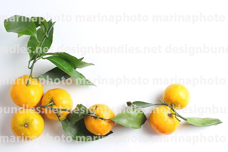 Holiday Background Image 13