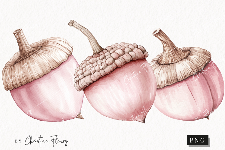 Watercolor Pink Acorns | Camping PNG