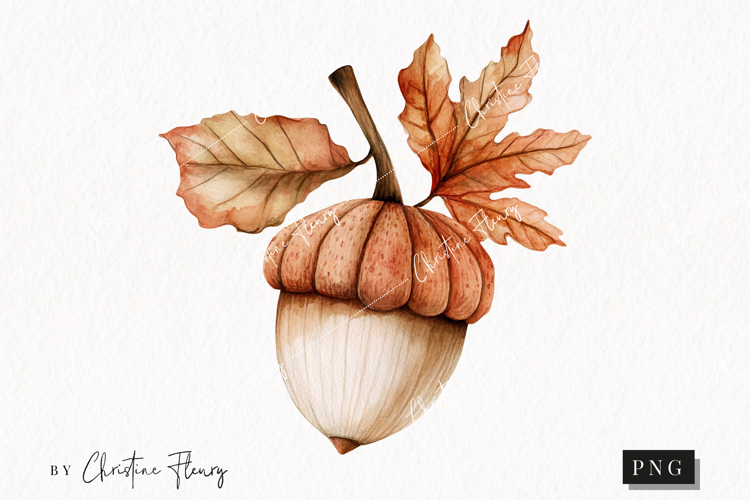 Cozy Fall Acorn PNG