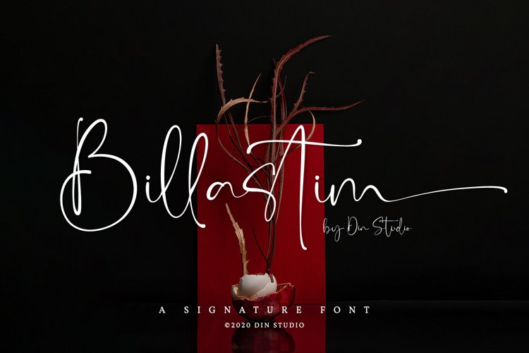Billastim example image 1