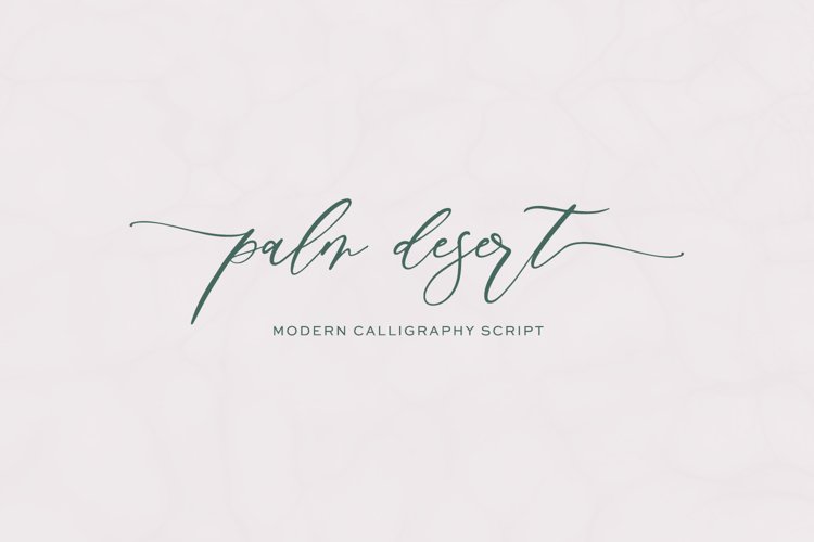 Palm Desert Modern Calligraphy Font example image 1