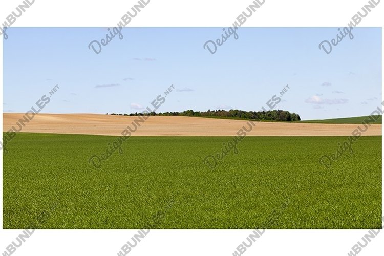 Competition Clipart Image 15