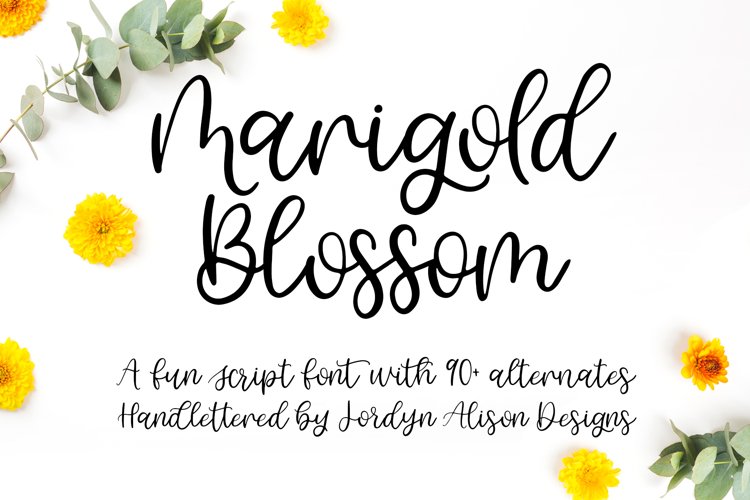 Marigold Blossom, Hand Lettered Script Font example image 1