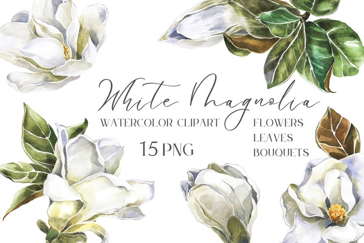 White Magnolia flowers, leaves and Bouquets Watercolor Set example image 1