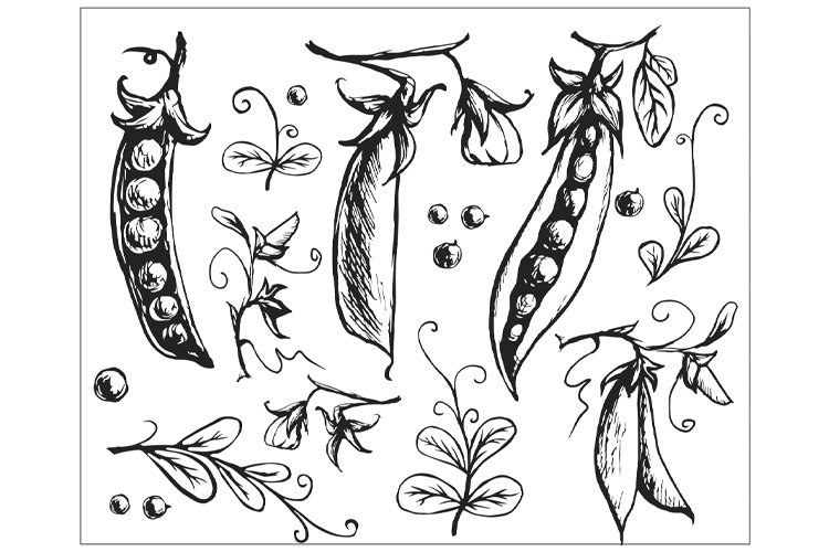 Vegetable Garden Clipart Image 3