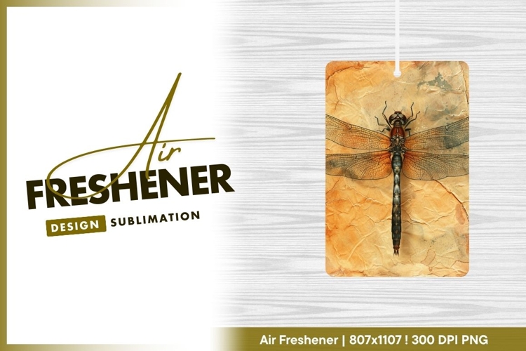 Dragonfly Clipart Image 15