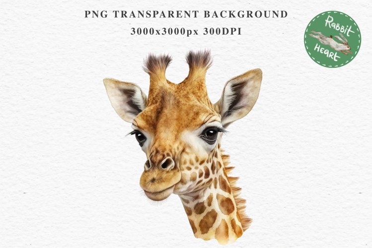 African Baby Giraffe Safari Animals Clipart Savanna PNG Art