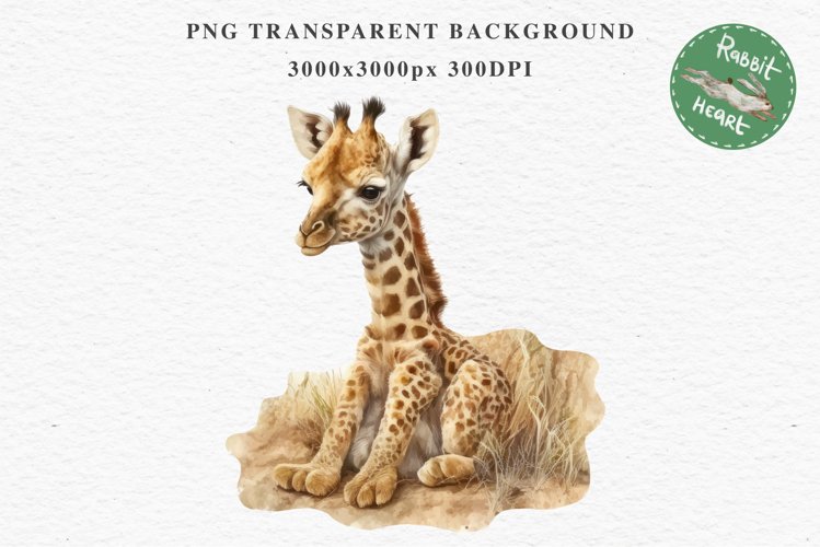 African Baby Giraffe Safari Animals Clipart Savanna PNG Art Image Watercolor  Transparent Print invitation t-shirt designs sublimation kids printable digital watercolor cute African Baby Giraffe, Safari Animals clipart, sublimation nursery drawing Savanna