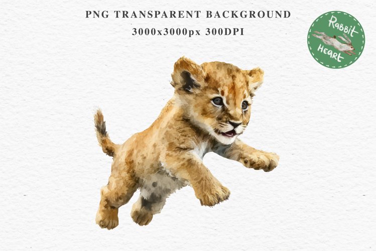 African Baby Lion Safari Animals Clipart Wild Cats Savanna