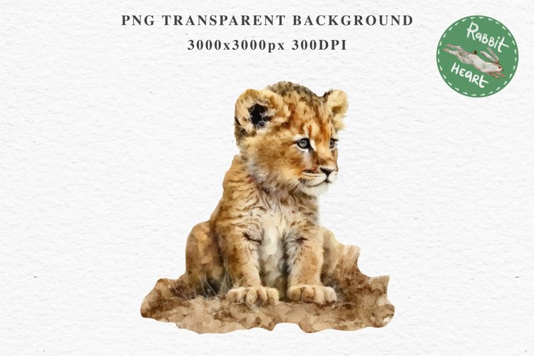 African Baby Lion Safari Animals Clipart Wild Cats Savanna