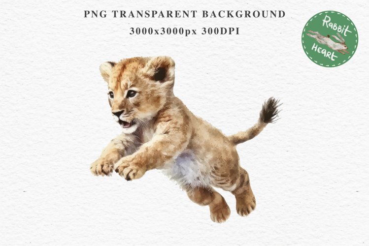 African Baby Lion Safari Animals Clipart Wild Cats Savanna