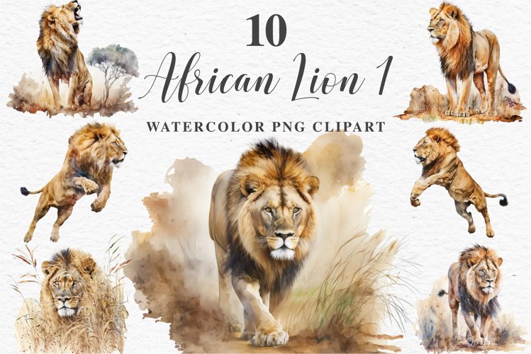 African Lion Safari Animals Clipart Wild Cats Savanna PNG
