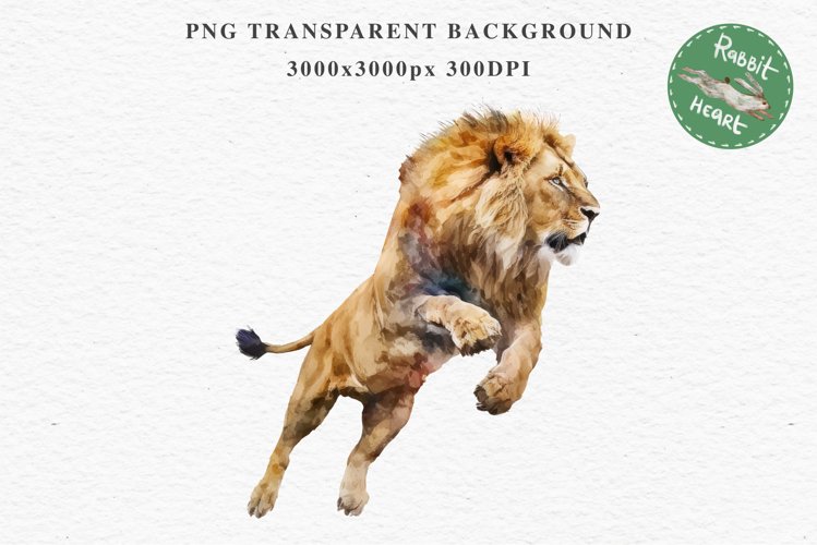 African Lion Safari Animals Clipart Wild Cats Savanna PNG