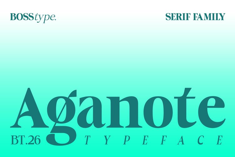 Aganote Typeface| 91 Style Font example image 1