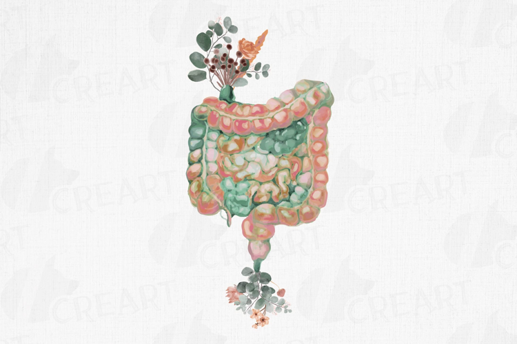 Floral Intestine Art: Watercolor Eucalyptus Anatomy Art