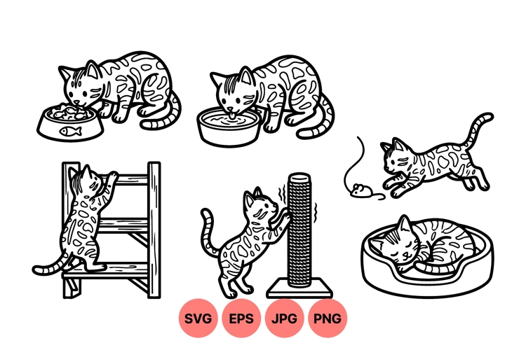 Pet Illustration Image 7