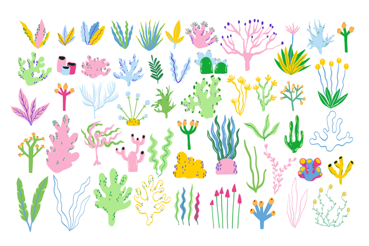 Algae Clipart Image 6