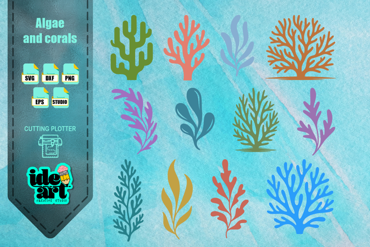 Algae and corals set