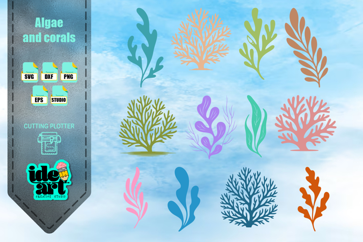 Algae and corals set