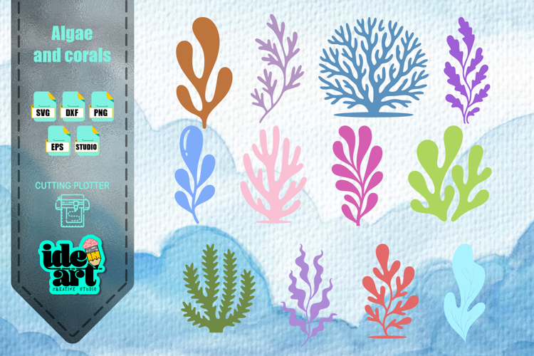 Algae and corals set