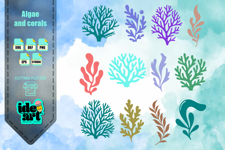 Algae and corals set