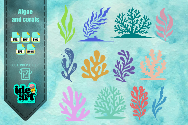 Algae and corals set