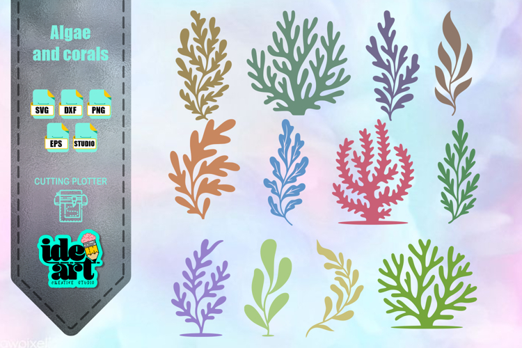 Algae and corals set