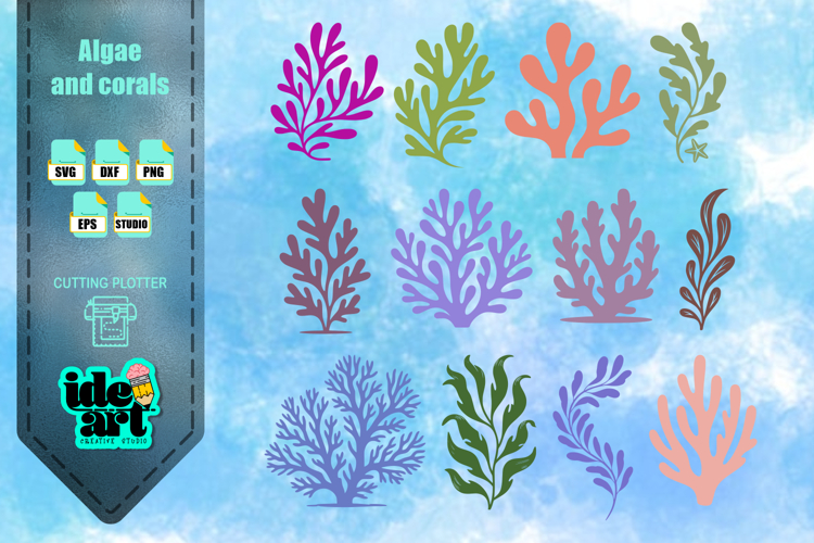 Algae and corals set