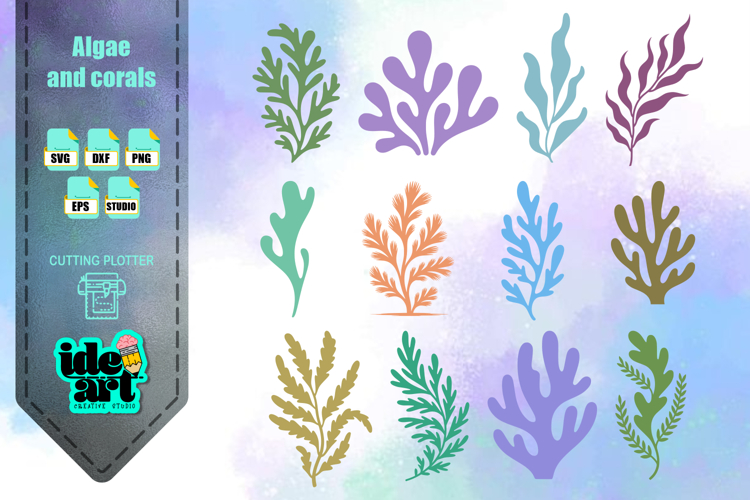 Algae and corals set