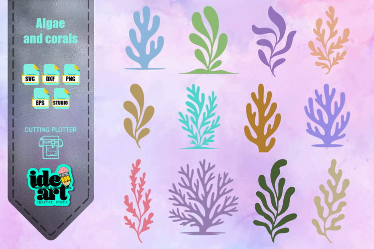 Algae and corals set