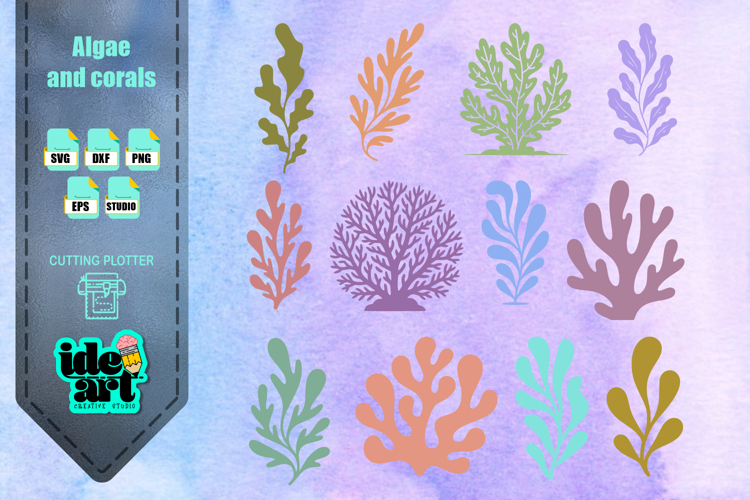 Algae and corals set