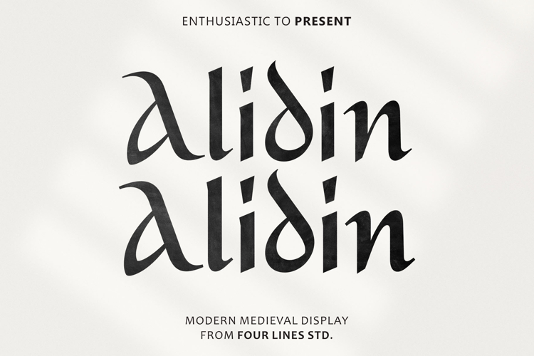 Alidin Modern Medieval Display