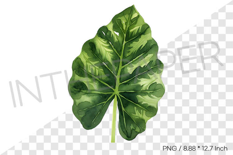 Tropical Leaf Clipart Image 24