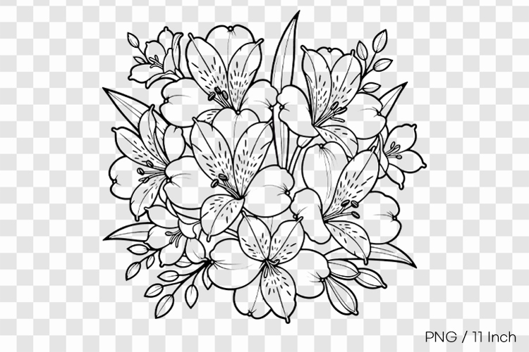 Flower Drawing Png Image 14
