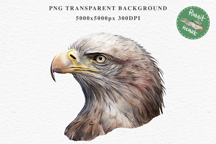 American Eagle Birds Clipart Savanna PNG Forest Animals Art Scrapbooking Image Watercolor Transparent Print invitation t-shirt designs sublimation printable  watercolor cute American Eagle, Safari birds bird clipart, sublimation nursery drawing Savanna