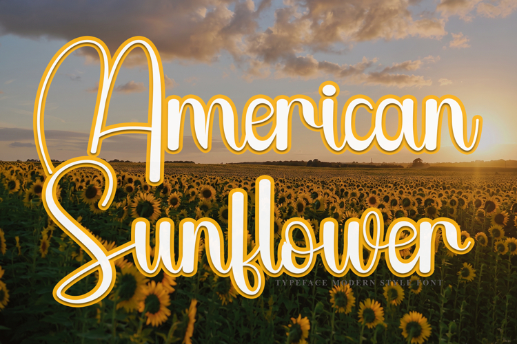 American Sunflower